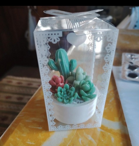 Vasetti con fiori cera - con, di