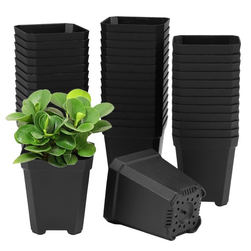 Whiznook 100 pezzi vasetti - whiznook, per